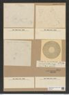 Asterolampra princeps Rattr. (de-Toni-Nr.: Genus 235, Species 5667) Zeichnungen Sammlung Grunow Nr. 9655 (NHMW-BOT-W0379587)